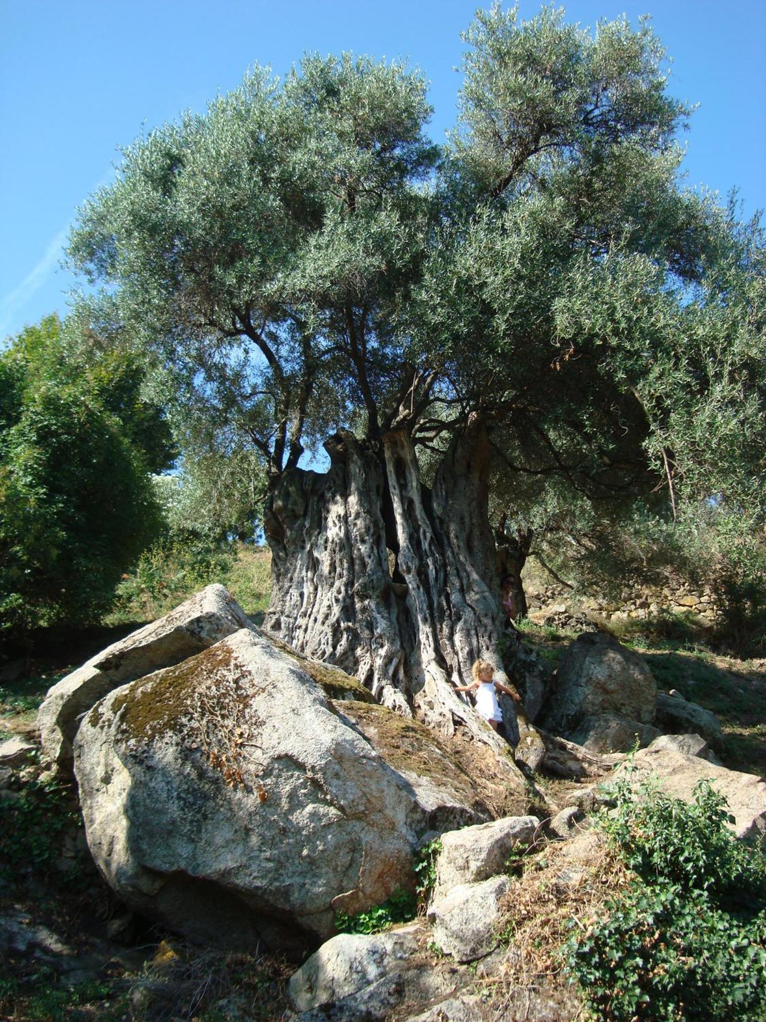 Costa Di Sognu Exterior foto