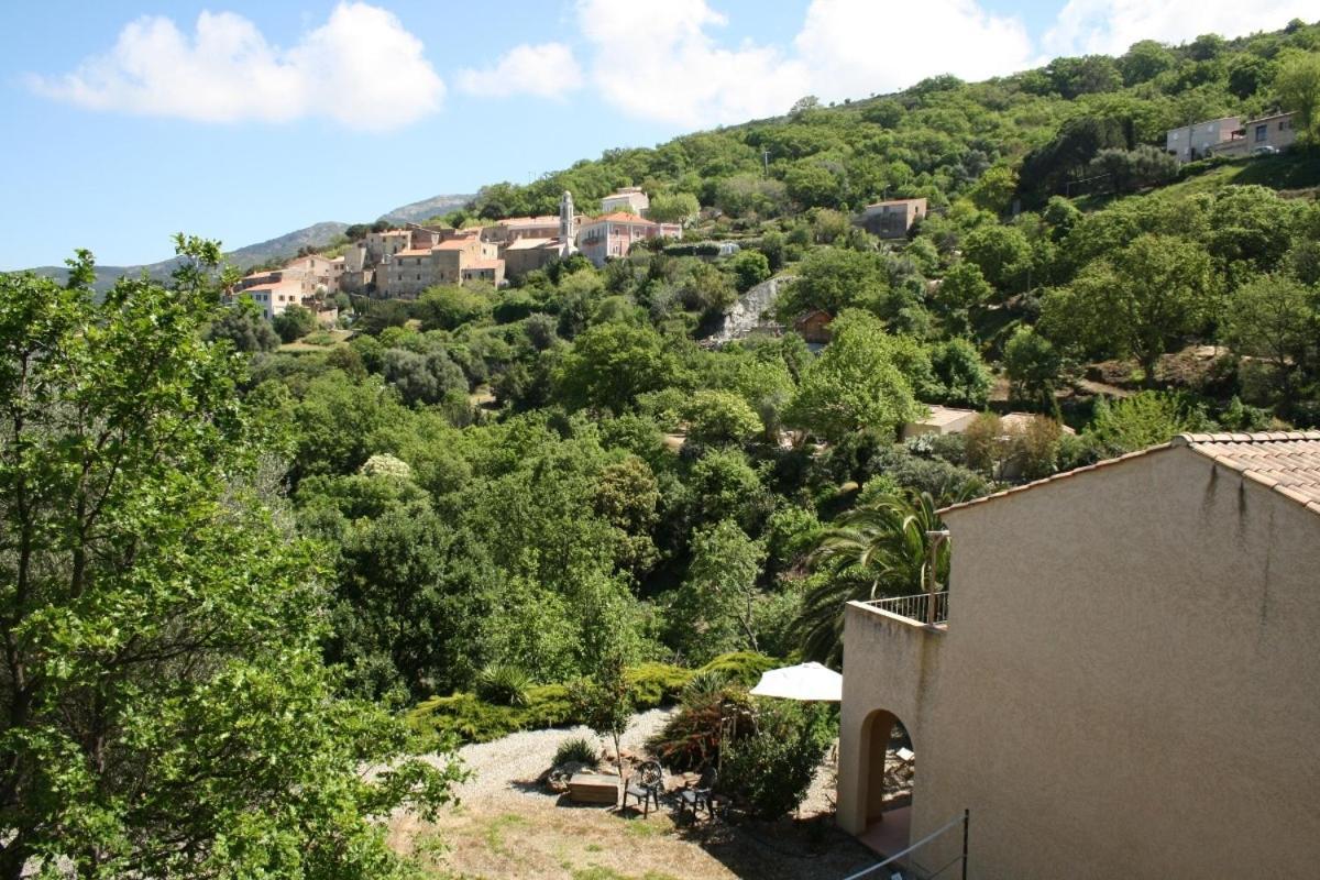 Costa Di Sognu Quarto foto