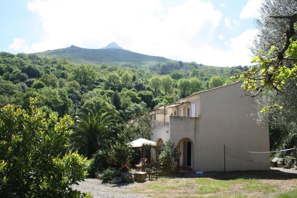 Costa Di Sognu Quarto foto